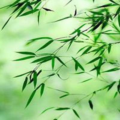 天地鉴手游下载
